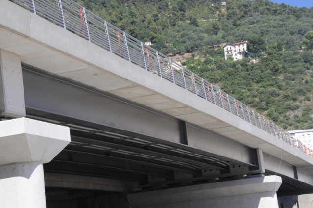 Pont René-Coty, Nice